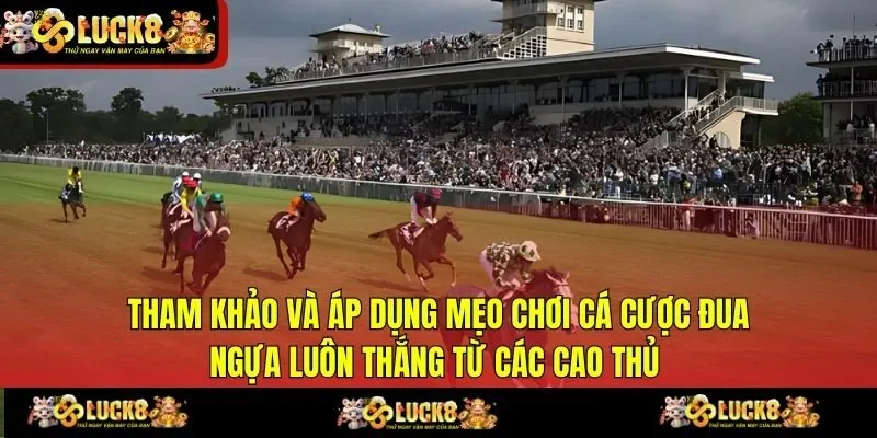 Tham khảo và áp dụng mẹo chơi cá cược đua ngựa luôn thắng từ các cao thủ