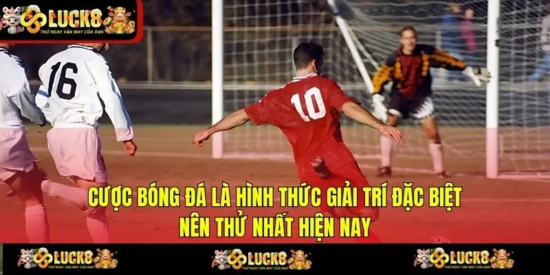 Cược bóng đá là hình thức giải trí đặc biệt nên thử nhất hiện nay